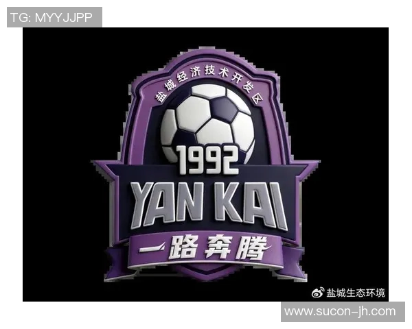 江苏盐城迎战沈阳城市全力争胜展现足球魅力与激情对决