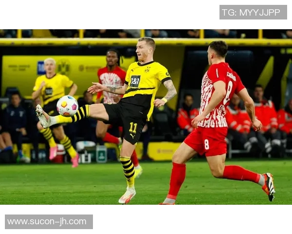 多特蒙德球迷暴力事件引发欧冠禁赛三场并罚款50万欧元