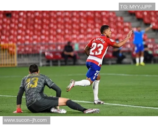 库尔图瓦：守护球门的传奇门将与足球世界的辉煌瞬间