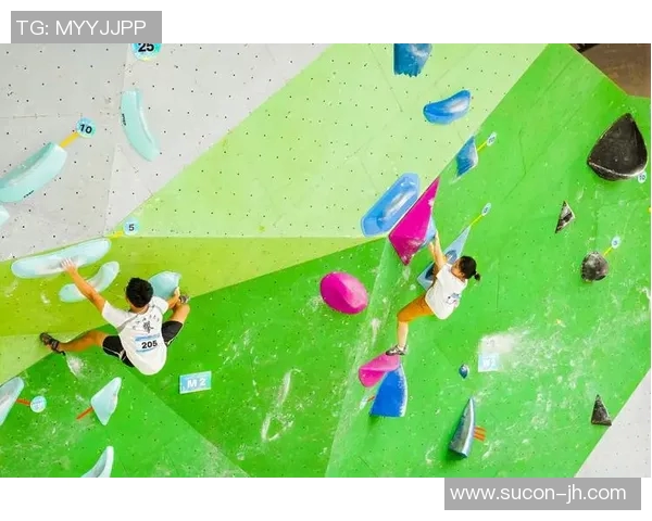 杭州飞盘队在世界攀岩锦标赛中的团队协作表现精彩点评与分析MBA