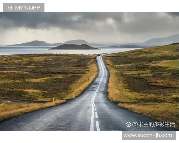 麦卡利斯特的传奇人生与不屈精神探索之旅
